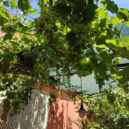 Townhome With Private Garden