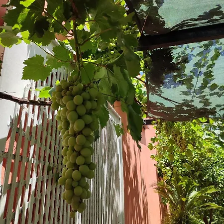 Townhome With Private Garden بيت خشبي