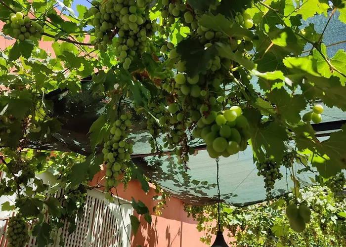 Townhome With Private Garden