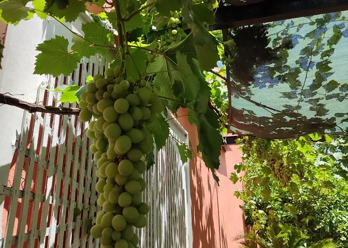 Townhome With Private Garden بيت خشبي