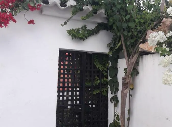 Townhome With Private Garden تافيرا